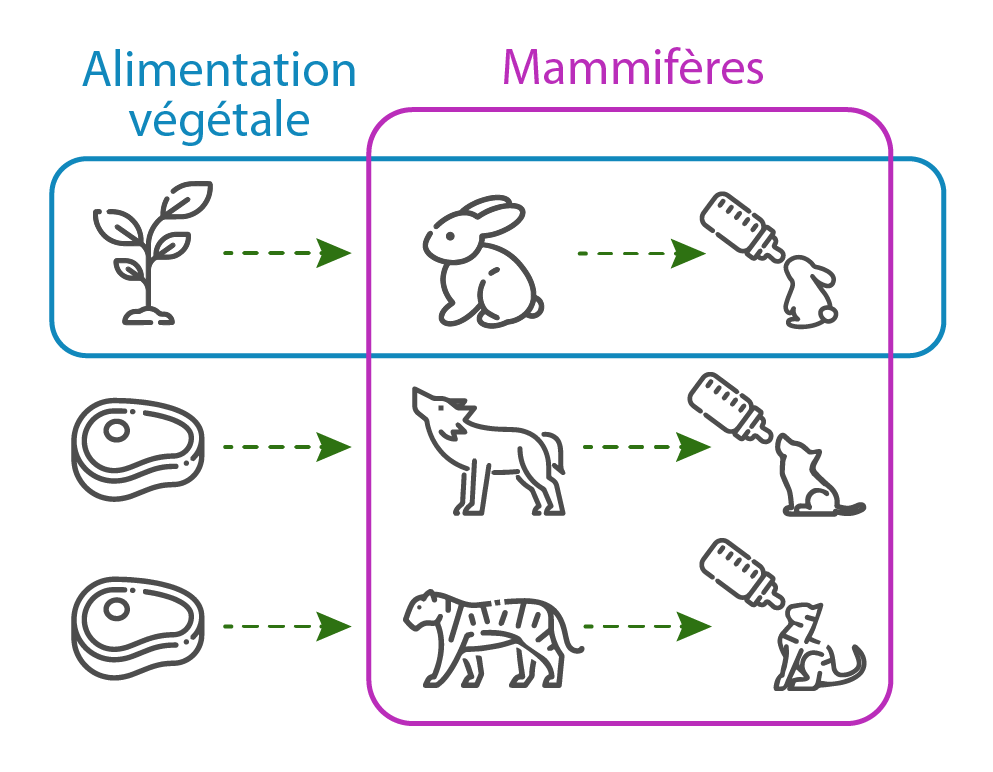 La méthodologie de la transition